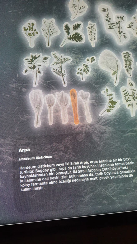 ÇATALHÖYÜK GEZİSİ-2023